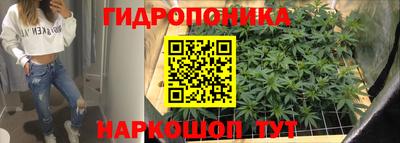 spice Новозыбков