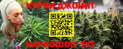 дмт Новокубанск