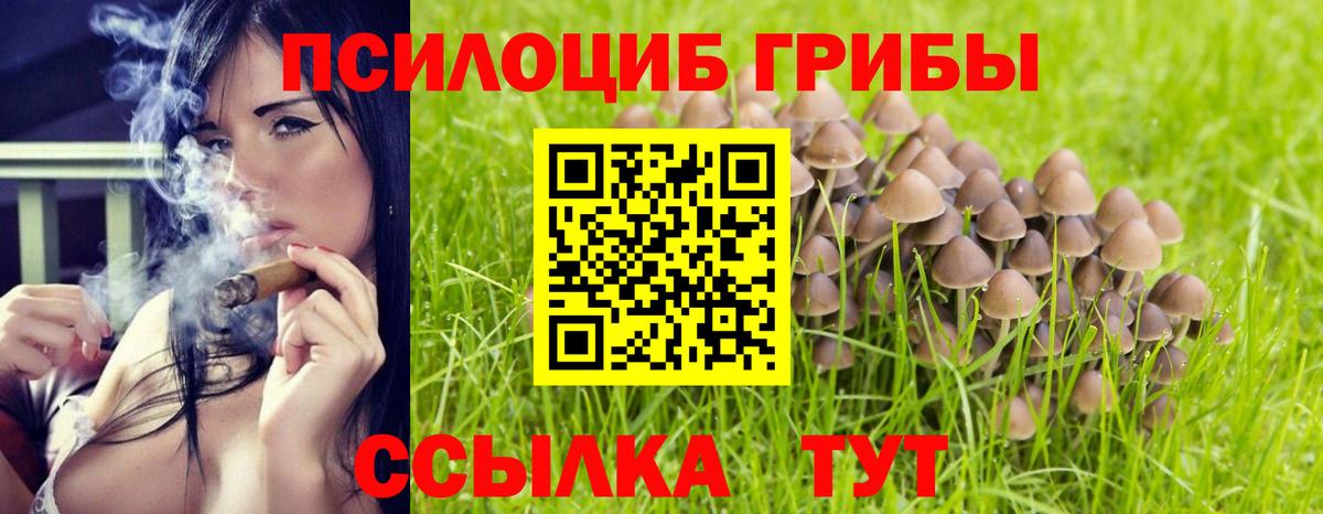 Псилоцибиновые грибы Magic Shrooms Сальск