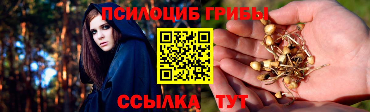 Сальск  Галлюциногенные грибы мухоморы  Псилоцибиновые грибы Psilocybine cubensis  Вход с VPN 