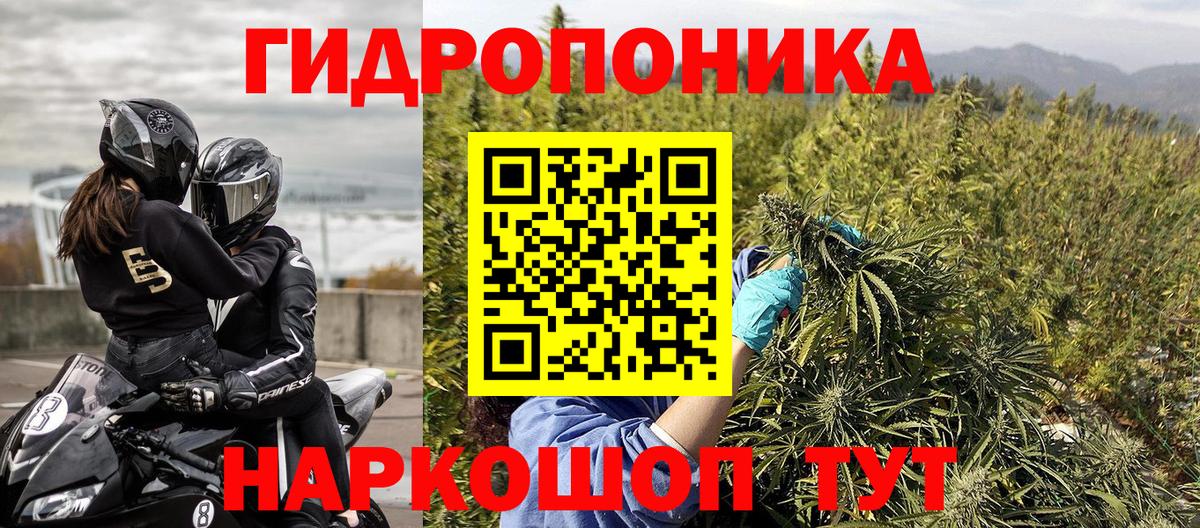 МАРИХУАНА план Сальск